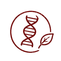 How is it good for your DNA & longevity?